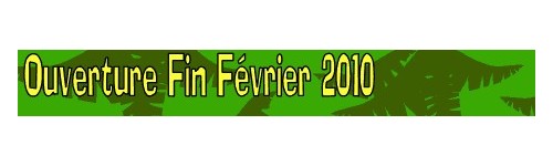 Les offres locales